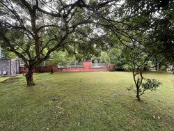 Lornie Road (D11), Semi-Detached #458170391